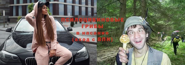 2c-b Осташков