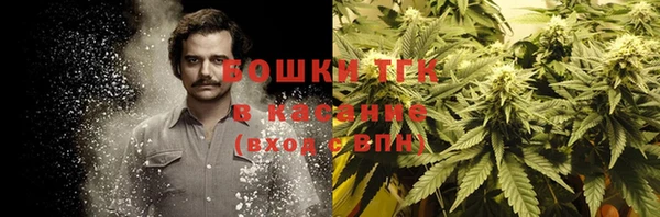 2c-b Осинники