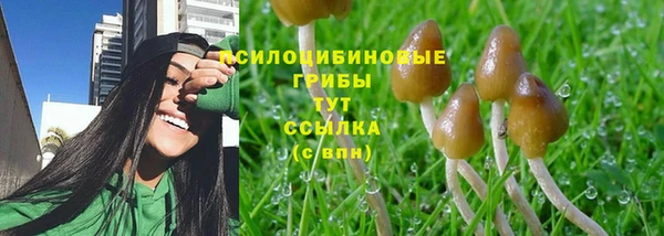 2c-b Осташков
