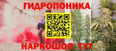 хмурый Абакан
