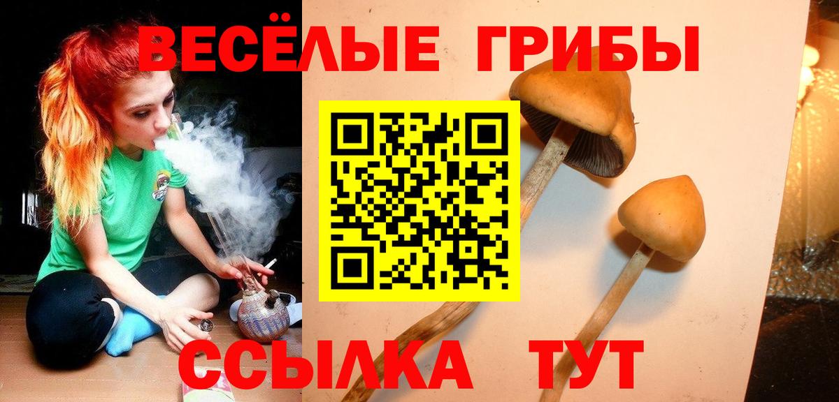 Псилоцибиновые грибы GOLDEN TEACHER Владимир